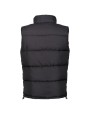 Vestes personnalisable REGATTA NORTHDALE INSULATED BODYWARMER