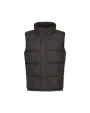 Jassen REGATTA NORTHDALE INSULATED BODYWARMER voor bedrukking &amp; borduring