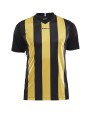 T-Shirts personnalisable CRAFT Progress Jersey Stripe M