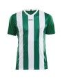 T-Shirts personnalisable CRAFT Progress Jersey Stripe M