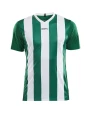 T-shirts CRAFT Progress Jersey Stripe M voor bedrukking &amp; borduring