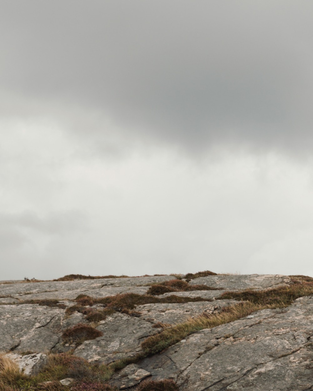 Parapluies personnalisable VINGA VINGA Parapluie de 21 pouces Baltimore en rPET AWARE™