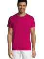 T-Shirts à personnaliser SOL'S Regent /api/colors/0327c765-dd20-409c-911d-31f7a9b4c2f5