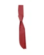 Bandanas, Foulards & Cravates personnalisable C.G. WORKWEAR Siena Cravate