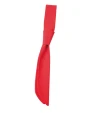 Bandanas, Foulards & Cravates personnalisable C.G. WORKWEAR Siena Cravate