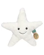 Accessoires personnalisable MBW Recycle Star