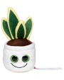 Accessoires personnalisable MBW Schmoozies® Evergreenies® Bow Hemp
