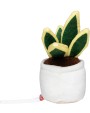 MBW Schmoozies® Evergreenies® Bow Hemp Zubehör personalisierbar