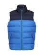 Jassen REGATTA Vintage Puffer Vest voor bedrukking &amp; borduring