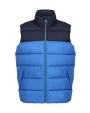 Jassen REGATTA Vintage Puffer Vest voor bedrukking &amp; borduring