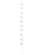 Accessoires personnalisable FLEXFIT CapRack Pro System