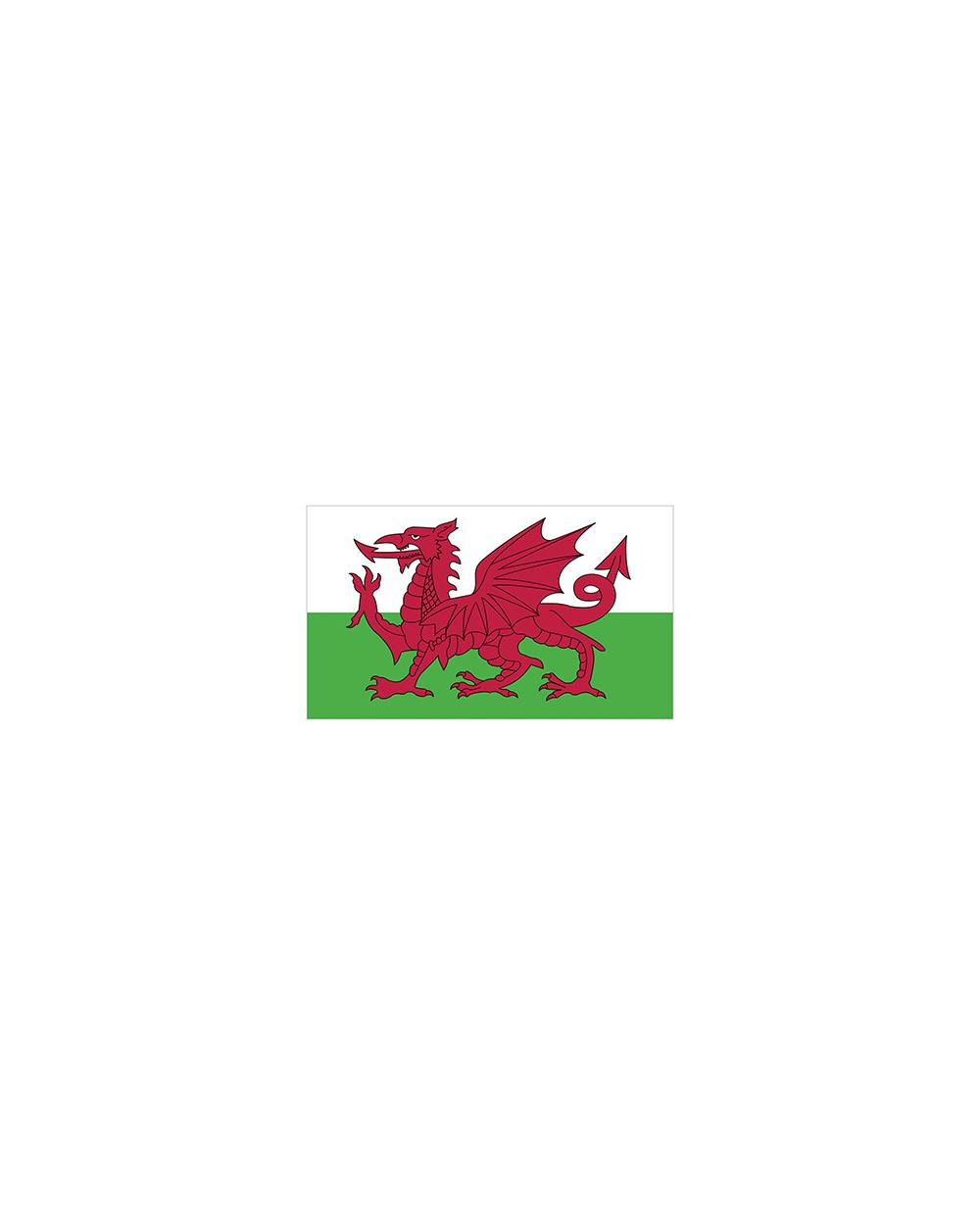 PRINTWEAR Flag Wales Zubehör personalisierbar