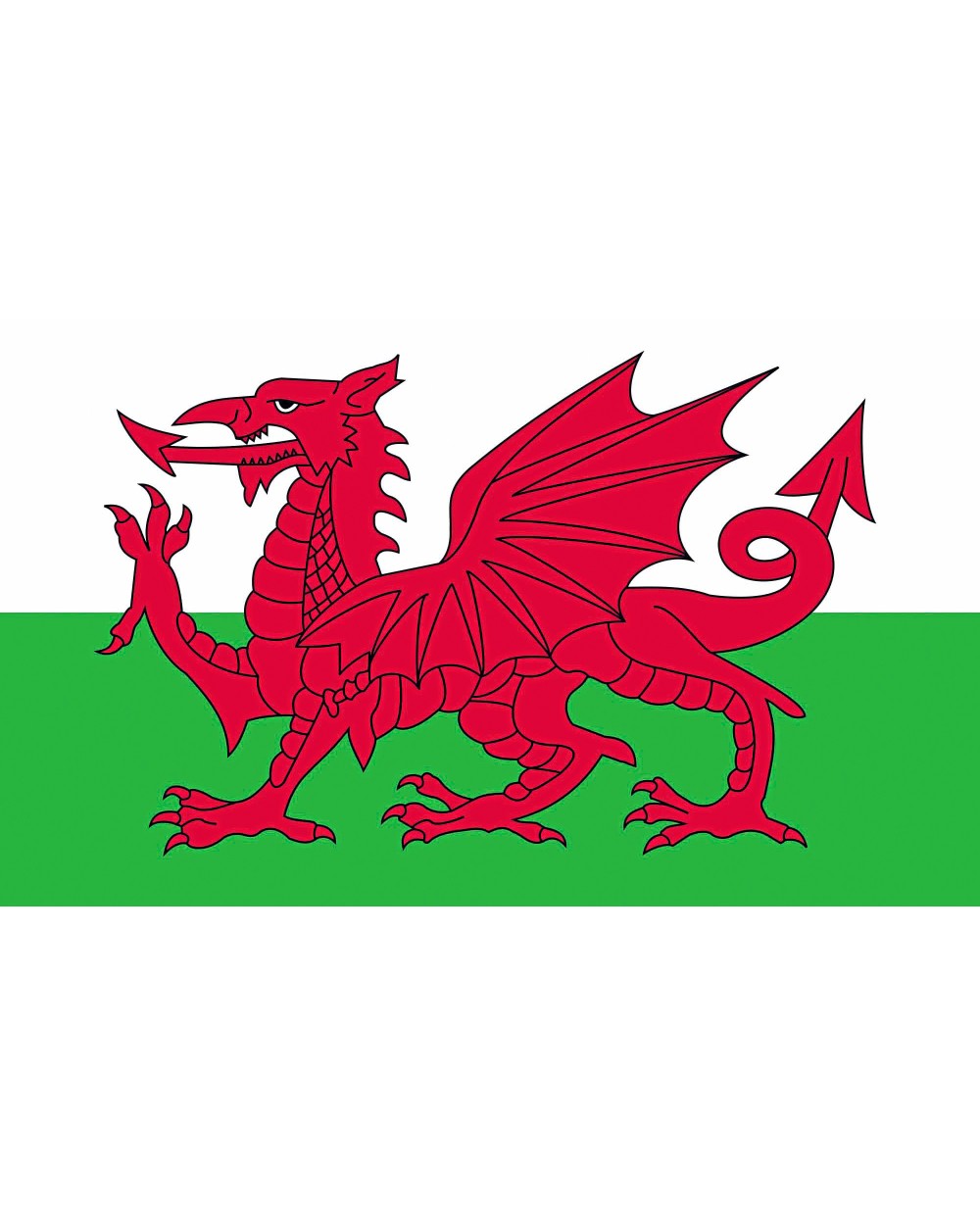 Benodigdheden PRINTWEAR Flag Wales voor bedrukking &amp; borduring
