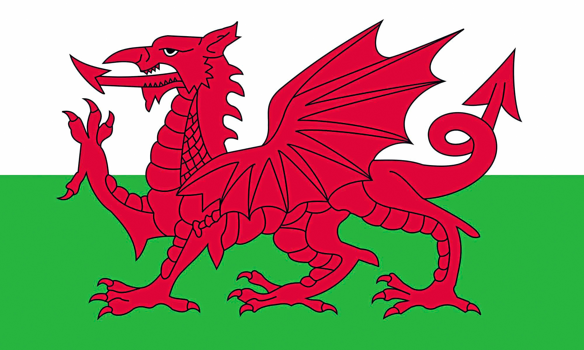 Benodigdheden PRINTWEAR Flag Wales voor bedrukking &amp; borduring
