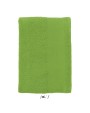 Produits éponges personnalisable SOL'S Island 100