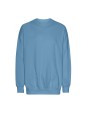 Sweaters & hoodies NEUTRAL OVERSIZED SWEATSHIRT voor bedrukking &amp; borduring