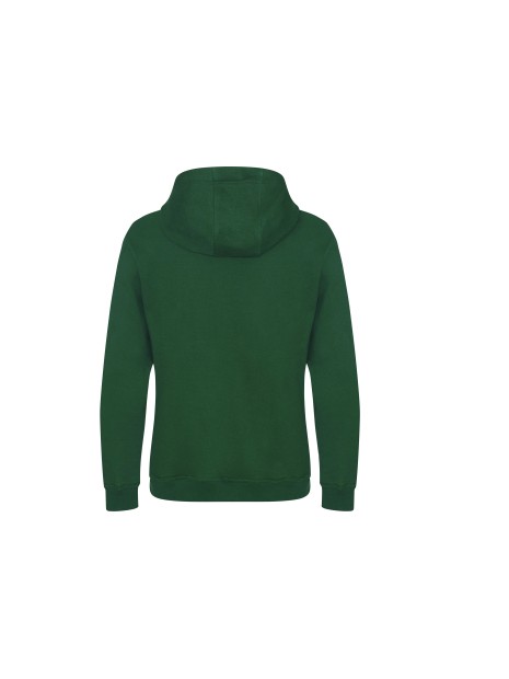 AWDIS GRADUATE HEAVYWEIGHT HOODIE /api/colors/703c36ed-7cf8-4ab1-a432-f578ca5c6bbd personnalisable