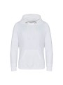 AWDIS GRADUATE HEAVYWEIGHT HOODIE /api/colors/955fb186-5516-4f2d-95ea-6be2310aedcb personnalisable