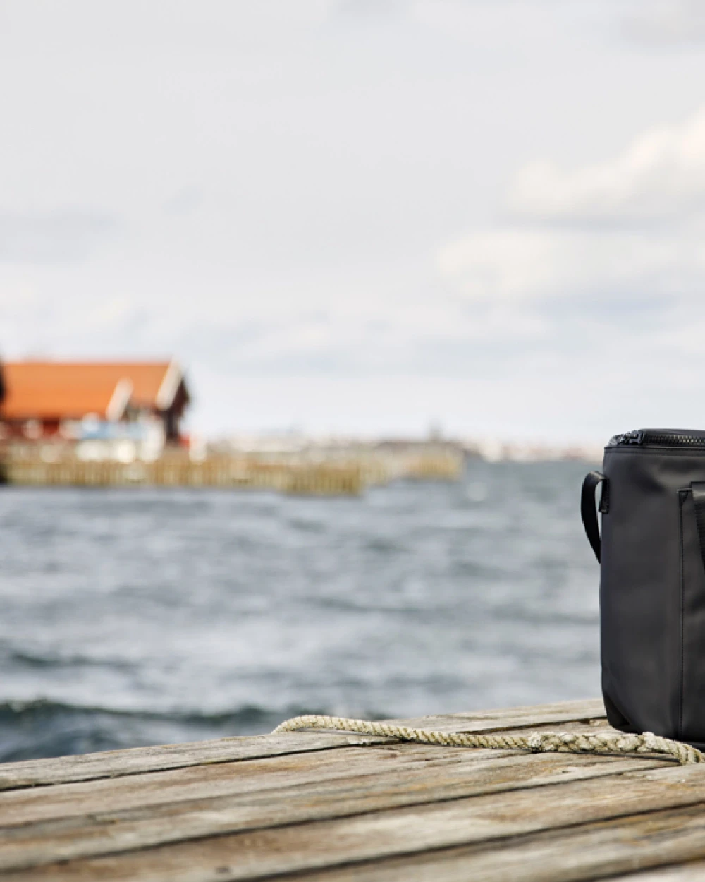 Sacs & Bagagerie personnalisable VINGA VINGA Sac isotherme Baltimore