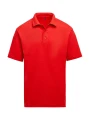 SG CLOTHING Unisex Polo /api/colors/c953313a-9c9d-493b-934e-ddcf8fada2ae personnalisable