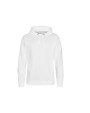 Sweaters & hoodies AWDIS EPIC PRINT HOODIE voor bedrukking &amp; borduring