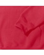 Sweaters & hoodies RUSSELL Hooded Sweatshirt voor bedrukking &amp; borduring