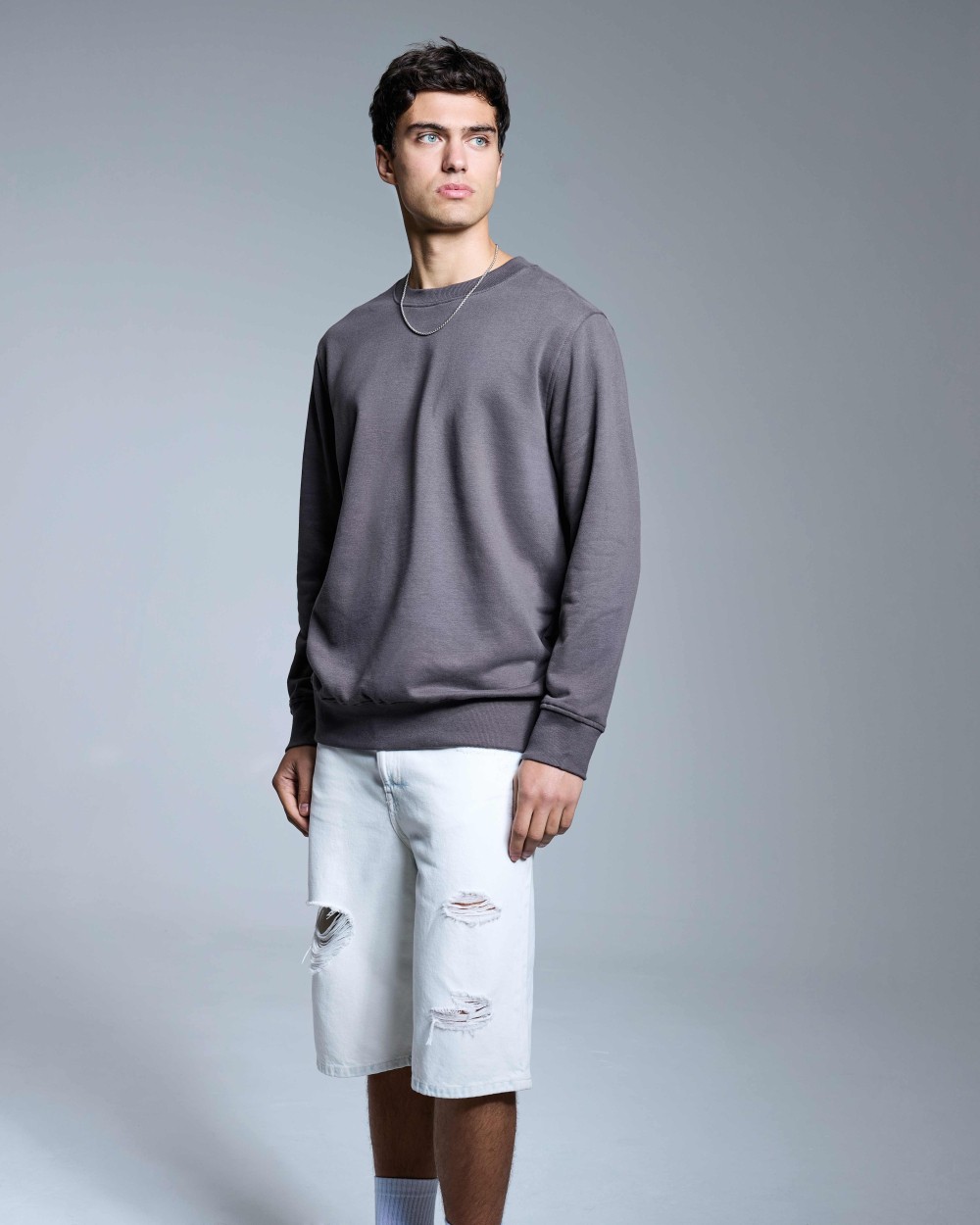 Sweaters & hoodies ANTHEM Anthem sweatshirt voor bedrukking &amp; borduring