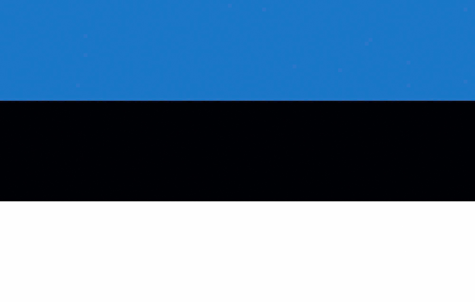 Benodigdheden PRINTWEAR Flag Estonia voor bedrukking &amp; borduring