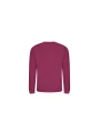 AWDIS AWDIS SWEAT /api/colors/49f0316f-a1db-4b4e-a573-1d08b949fb72 personnalisable