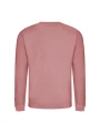 AWDIS AWDIS SWEAT /api/colors/29afb3cf-195a-4aa6-b557-4516fded1003 personnalisable