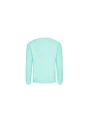 AWDIS AWDIS SWEAT /api/colors/16f798c2-575e-429d-810c-4cb93b829b8c personnalisable