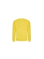 AWDIS AWDIS SWEAT /api/colors/c1aa1cdd-5fa7-4d36-9e2c-8c44c4375bf3 personnalisable