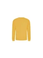 AWDIS AWDIS SWEAT /api/colors/ec7322fb-2498-4aec-b739-f7c20573d972 personnalisable