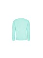 AWDIS AWDIS SWEAT /api/colors/16f798c2-575e-429d-810c-4cb93b829b8c personnalisable