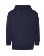 Sweat-shirts personnalisable AWDIS CRATER RECYCLED HOODIE