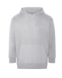Sweat-shirts personnalisable AWDIS CRATER RECYCLED HOODIE