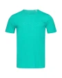 T-shirts STEDMAN Shawn Crew Neck Men voor bedrukking &amp; borduring