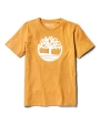 T-shirts TIMBERLAND PRO Biologisch T-Shirt Brand Tree voor bedrukking &amp; borduring