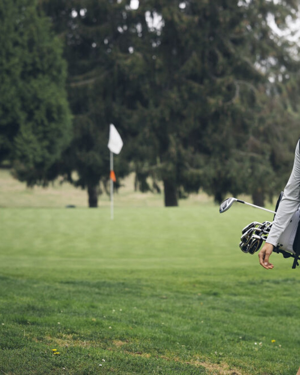 Benodigdheden CUTTER & BUCK Golfbag voor bedrukking &amp; borduring