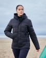 Jassen CRAGHOPPERS EXPERT EXPERT WINTER PADDED JACKET voor bedrukking &amp; borduring