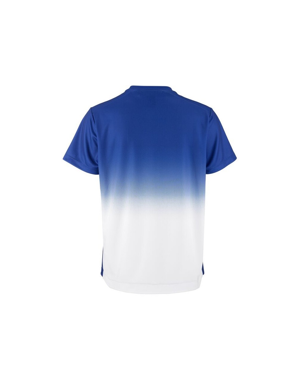 CRAFT Evolve 2.0 Structured Graphic Jersey W T-Shirts personalisierbar