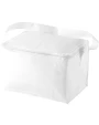 Sacs & Bagagerie personnalisable 4DO Sac isotherme 6 canettes Spectrum 4L