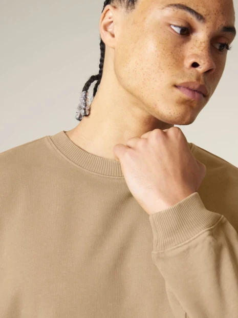 Sweat-shirts à personnaliser STANLEY/STELLA Radder 2.0 Vintage 