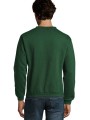 Sweat-shirts à personnaliser SOL'S Spider /api/colors/703c36ed-7cf8-4ab1-a432-f578ca5c6bbd