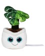 MBW Schmoozies® Evergreenies® Monstera Zubehör personalisierbar