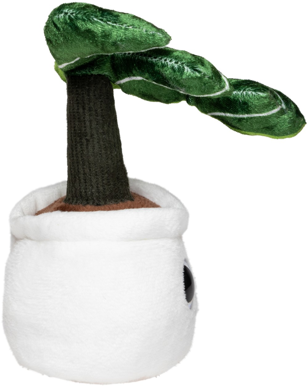 MBW Schmoozies® Evergreenies® Monstera Zubehör personalisierbar