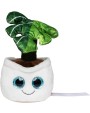 MBW Schmoozies® Evergreenies® Monstera Zubehör personalisierbar