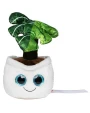 Benodigdheden MBW Schmoozies® Evergreenies® Monstera voor bedrukking &amp; borduring