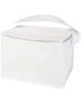 Tassen & Zakken 4DO Spectrum gerecyclede non woven koeltas voor 6 blikjes 4l voor bedrukking &amp; borduring