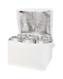 Sacs & Bagagerie personnalisable 4DO Sac isotherme Spectrum non tissé recyclé GRS de 4L pour 6 canettes